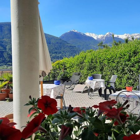 B&B Il Grappolo Bianzone Exterior foto