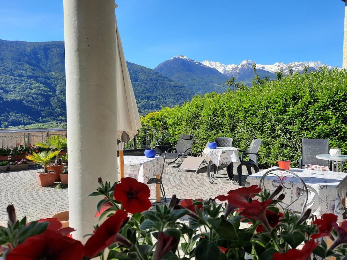 B&B Il Grappolo Bianzone Exterior foto